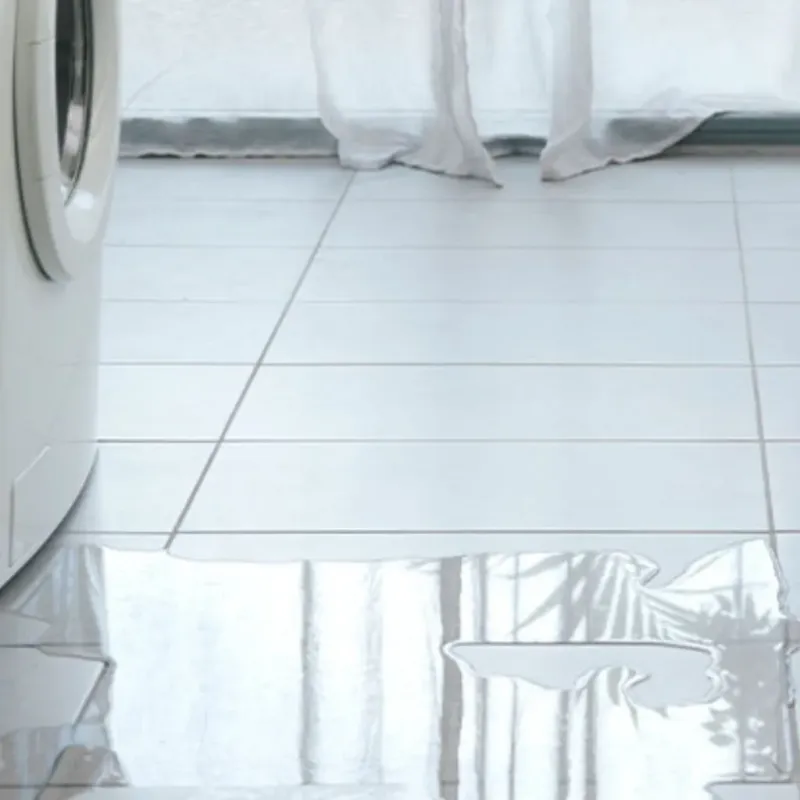 Appliance Leak Cleanup in Long Lake, IL