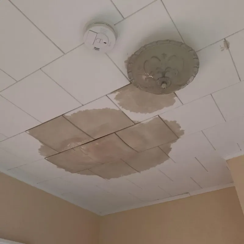 Ceiling Water Damage Repair in Long Lake, IL