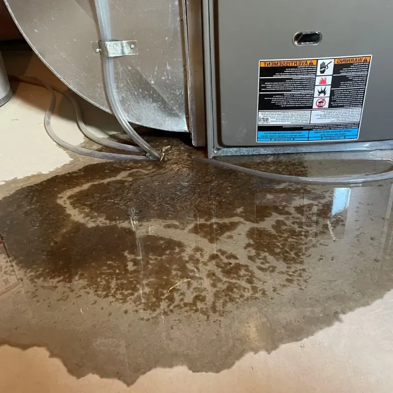 Pipe Burst and Leak Restoration in Long Lake, IL