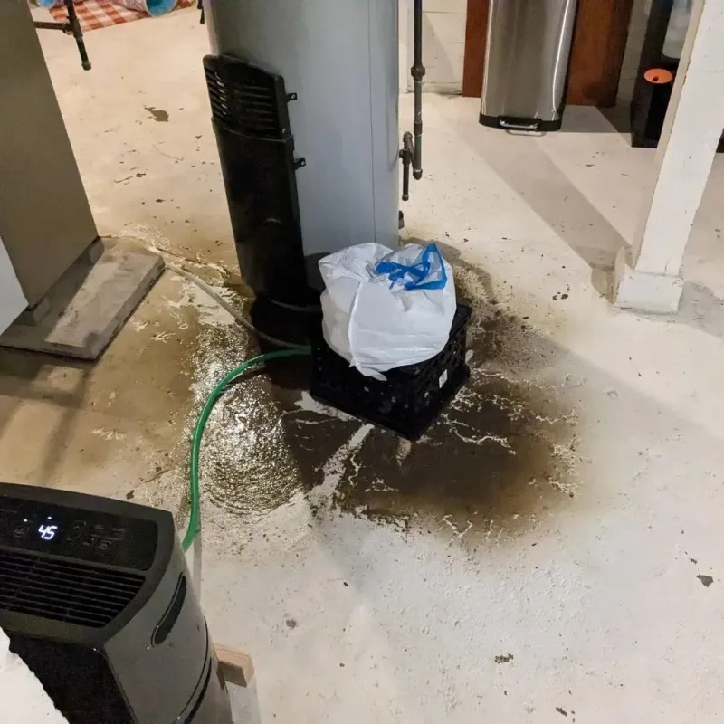 Sewage Backup Cleanup Service in Long Lake, IL